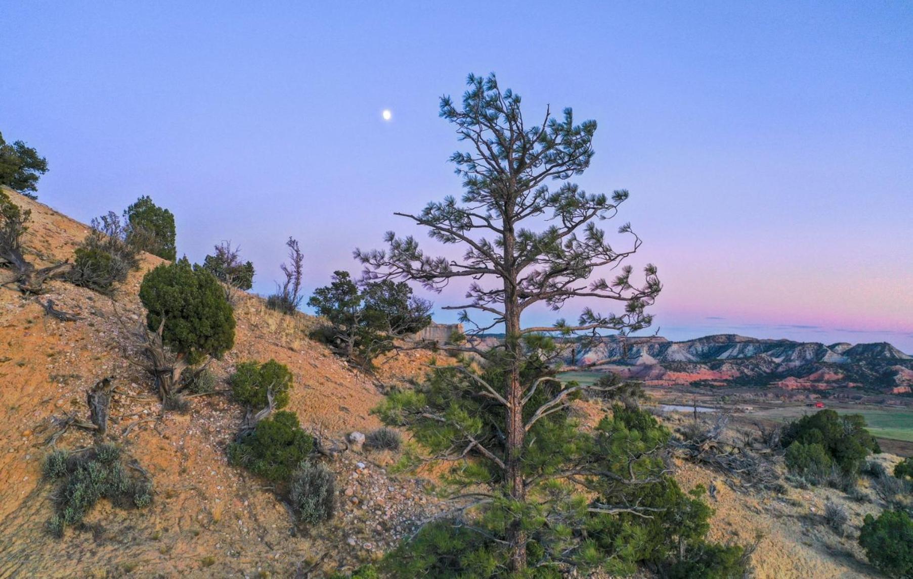 Clear Sky Resorts - Bryce Canyon - Unique Stargazing Domes 캐논빌 외부 사진